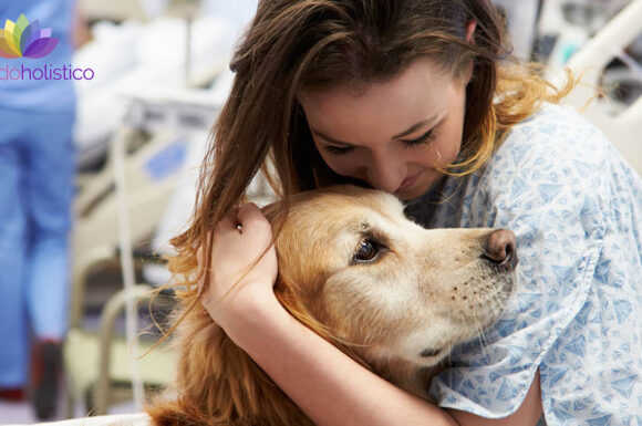 Zooterapia: Terapia con animales