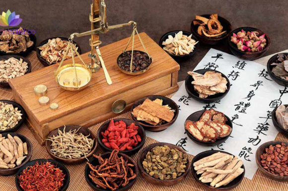 Medicina tradicional china y sus ramas