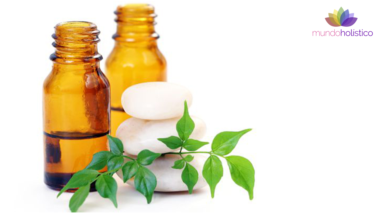 Propiedades cosméticas y medicinales del pachuli