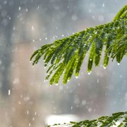 Sonido de la lluvia calma para el cerebro